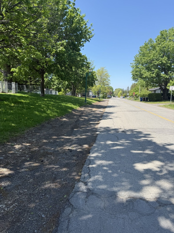 Nice walk on a beautiful afternoon