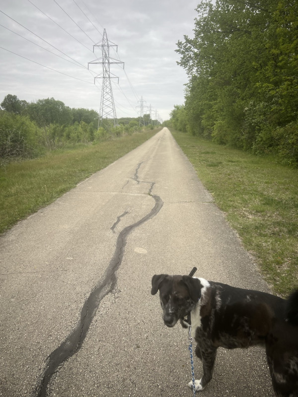 I’m grateful I get out with and for my dog!