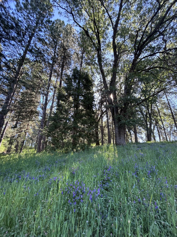 It’s a beautiful morning - think a hike or 2 is happening later ??
