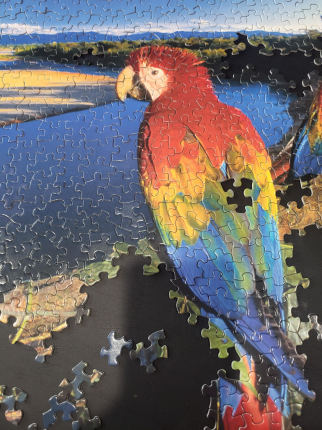 Working on a jigsaw puzzle is peaceful and meditative for me