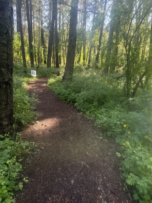 we have a beautiful trail by the house that makes for a wonderful workout!