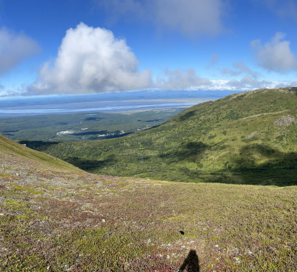 Went hiking today. Beautiful day in Alaska.