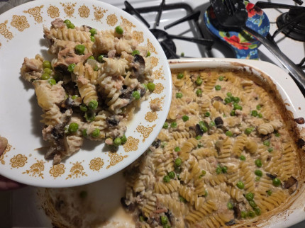 Made a tuna casserole 300 cal, 31 p, 13 fiber. Also a Taco hashbrown casserole, 442 cal, 28 p, 12g f