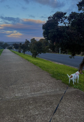 Fun walk this afternoon downhill then back up! That was a workout and a half :sweat_smile: