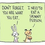 Stacy’s DietBet