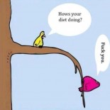 Ziggy Spring Fatness Challenge