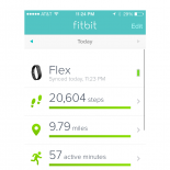 Fall Fitbit Fun II