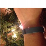 Fitbit for the Holidays II