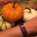 Fresh Start-Fall into Fitbit II