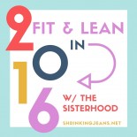 Fit & Lean in 2016