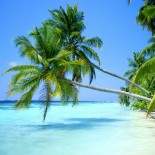 Lose it For St. Thomas pt 2