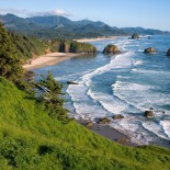 Here come the SHORES