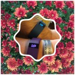 Fall Fitbit Fun I