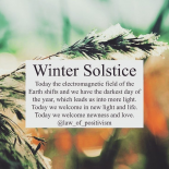 Michelle's New Beginnings DietBet