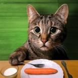 Panic! Summer is Coming.