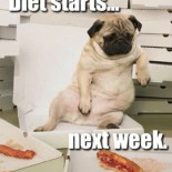 Countdown to summer 3!