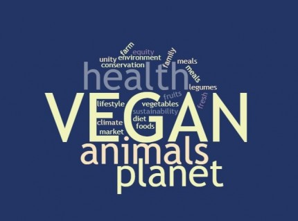 I created a $35 Kickstarter called "Vegan Friends" - here's the invitation-only link: http://dbet.me