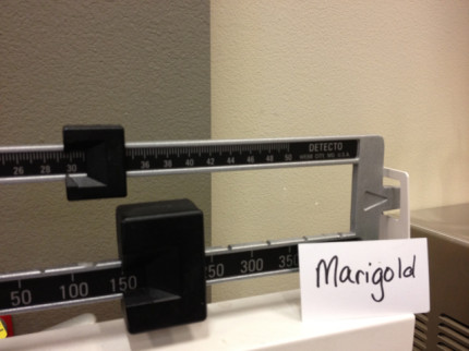 179.6