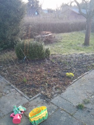 My workout for today: Close to two hours of gardening. Before, the giant pile of branches (seen in t