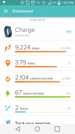 Just need those final steps. I think I'll go to the store to get them in. That should do it!!