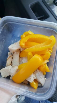 Grilled chicken and sliced bell pepper for lunch!