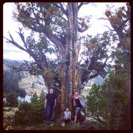 Hello fellow Diet Betters! My name is Michelle. I live in Sacramento, CA with my husband and our 4 k