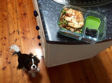 Having no fridge at uni has put me off bringing my own lunch whenever the mercury goes up, but not t